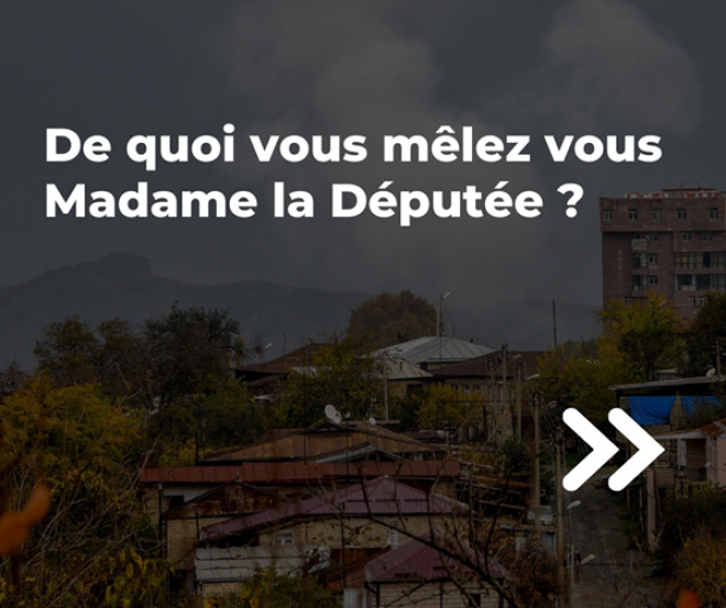 De quoi vous mêlez-vous Madame la Députée ?