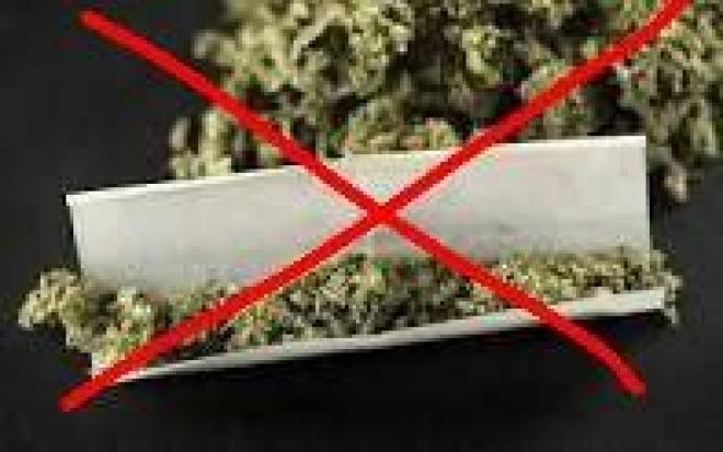 Généralisation de l'amende de 200 euros pour possession ou usage de cannabis et autre stupéfiants