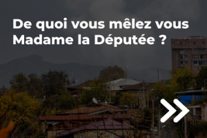 De quoi vous mêlez-vous Madame la Députée ?