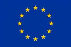 Adoption du projet de loi relatif à l'élection des députés européens