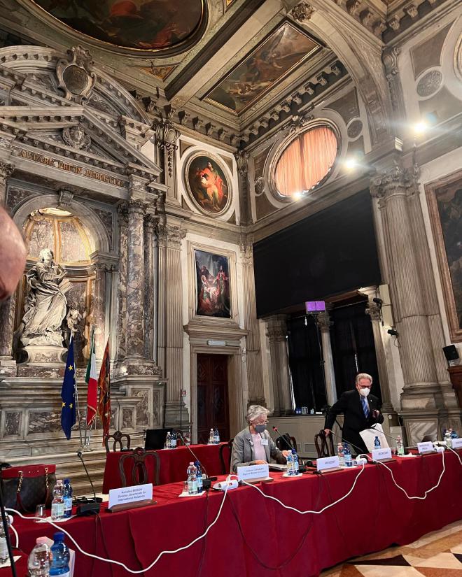 Participation à la Commission de Venise 